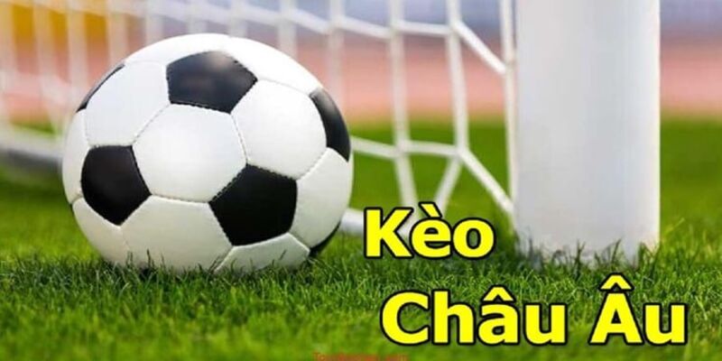 Mẹo chơi kèo Odds bách chiến bách thắng 2024